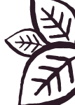 deco-3